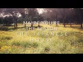 maybe you're the reason - the japanese house // lyrics