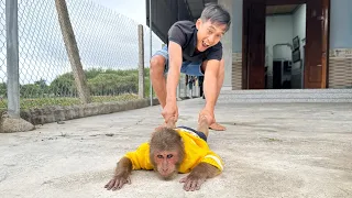 Super funny! CUTIS's recklessness when sick makes Dad laugh with delight😂
