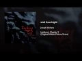 visit from Light