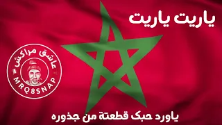 ياورد حبك قطعتو من جذوره ياريت ياريت 