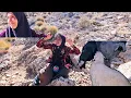 Download Lagu Leila’s Worries – The Family’s Sheep Go Missing in the Mountains” 🐑⛰️💔