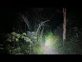 Download Lagu Live misteri malam ini🔴 MISTERI GUNUNG LANJUNG ⁉️