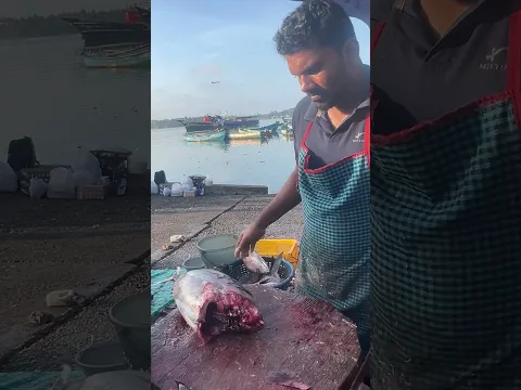 Amazing Tuna Fish Cutting Vibe Fish Cutting #vibe #fishcutting #youtubeshorts