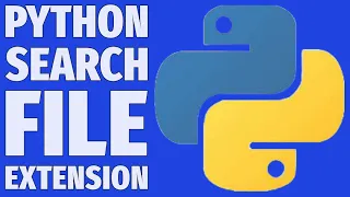 Build a File Search App with Python and Regex Step-by-Step Project 2025