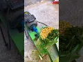 Download Lagu Animal Feed Processing Machines Making Pelletizer Granulation Chicken Cattle Feed Pellet Machine