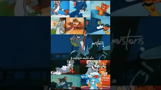 حالات واتس عبد الباسط حموده اديني حب اكتر اديك الشوق ي سكر 