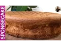 Biscuit Sponge Cake Recipe YOU WILL SUCCEED 100