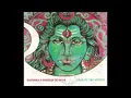 Crazy Heart - Bahramji & Maneesh De Moor