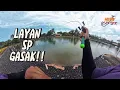 Download Lagu TERGASAK SP SAMPAI PATAH ROD ❗❗ Mancing Ikan Siakap Di Kolam Poknik Peramu Kuantan ( 9Ekor )