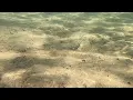 Hat Head Creek Snorkel