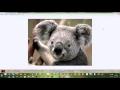 random images display