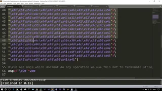 Stack Buffer Overflow using popad instruction