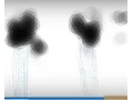 Convection Cloud Rain simulation in Processing