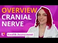 Cranial Nerve Overview - Health Assessment for Nursing Students LevelUpRN