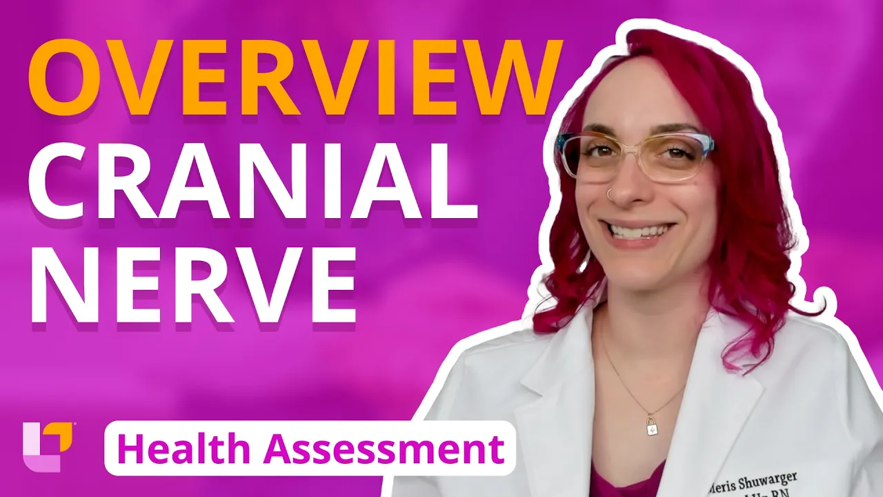 Cranial Nerve Overview - Health Assessment for Nursing Students | @LevelUpRN