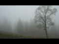 Mattew Fisher - Home Is Ahead... The World Behind