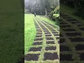 Download Lagu di jalan setapak kah?