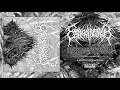 COPROBAPTIZED CUNTHUNTER 'Perseveration of Delirious..' (Full Album) REALITYFADE