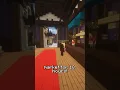 A Day in the Life of an AUCTION FLIPPER Hypixel Skyblock Stereotypes