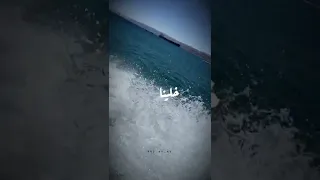 ردت فعل صاحبي اما اشكيله همومي بصوت فضل شاكر خلينا نعيش وننسى اللي صار  ردت فعل صاحبي اما اشكيله همومي بصوت فضل شاكر خلينا نعيش وننسى اللي صار
