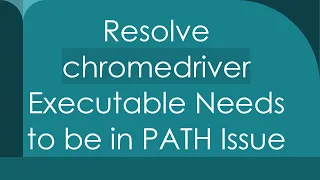 Resolve chromedriver Executable Needs to be in PATH Issue