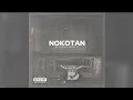 Download Lagu The Real Slim Shika - Nokotan (AI Cover)