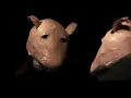 Foals - 2 Trees (OFFICIAL VIDEO)