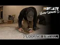 Install Thoughts on COREtec Luxury Vinyl Plank Flooring