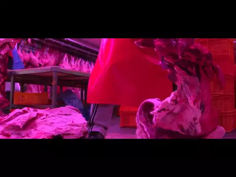 Factory Complex trailer (위로공단)