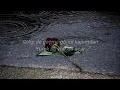 HiraiZerdüş // İçime Sevda Kaçar [Sözleri, Lyrics]