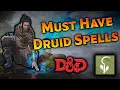 Must-Have Druid Spells for Dungeons and Dragons 5e