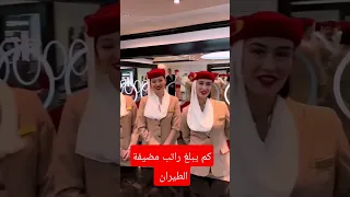 كم يبلغ راتب مضيفة الطيران ضيافة شروط الضيافة الجوية 