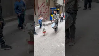 خليت الكلب يرقص دندنها