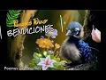 de buenos dias con hermosas imagenes y mensajes del corazon feliz miercoles