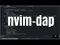 Neovim Plugin nvim-dap