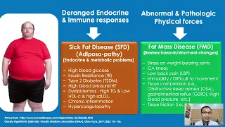 โรคอ้วนเกี่ยวข้องกับภาวะใดในร่างกายบ้าง