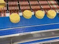 ALTA Foods Manufacturing Facility