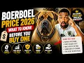 Boerboel Price 2026 What to Know Before You Buy One