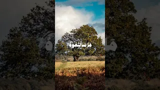 وآتاكم من كل ما سألتموه مقطع من سورة إبراهيم للقارئ الشيخ محمد صديق المنشاوي حالات واتس 