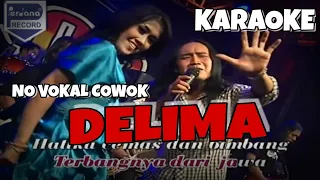 Download Delima Karaoke Tanpa Vokal Cowok New Pallapa MP3