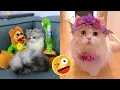 CatS Love Dog mating cat in Heat