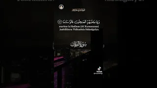 سامحني حين اسجد وبالي منشغل وسامحني حين اتوب واعود للذنوب فليس الي ملجئ غيرك ياالله 