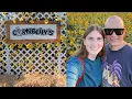 Cornbelly s Sunflower Festival in Spanish Fork 2025