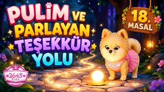 Pulim Ve Parlayan Teşekkür Yolu (4K Animation Video)