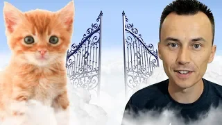 will our pets go to heaven with us