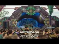 Download Lagu Sektorlogic vs After June @ Forest Shankara 2025