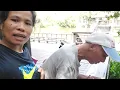 Download Lagu KEGIATAN MBAK TKW BAWA ATM NYA KELUAR, BELI JAJANAN DI BUANG SAMA MAJIKAN 