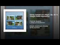 String Quintet in C Major, Op. 29: II. Adagio molto espressivo - Guarneri Quartet, Pinchas Zukerman & Ludwig van Beethoven