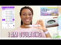 TMI DETAILED LIVE OVULATION TEST TRYING TO CONCEIVE FAST How to ACCURATELY Test for ovulation