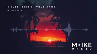 Cutting Crew I Just Died In Your Arms M Ike Remix 
